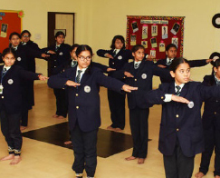 mlzs-Naroli -programs